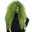 Widmann Witch Wig Green