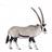 Oryx Antelope 12cm