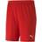 Puma teamGOAL 23 Knit Shorts Men - Red