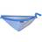 Regatta Flavia String Bikini Bottoms - Strong Blue Stripe