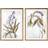Dkd Home Decor Maleri Botaniske planter (50 x 2 x 70 cm) (2 pcs) Billede