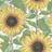 Boråstapeter Sunflowers (2058)