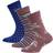 Hummel Alfie Socks 3-pack - Heather Rose (214549-4866)