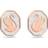 Swarovski Signum Stud Earrings - Rose Gold/Transparent