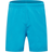 adidas Adicolor Classics Trace shorts