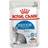Royal Canin Indoor Jelly