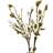 Kunstig Kamelia m. LED-lys, hvid, 50cm Kunstig plante