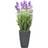Europalms Kunstig Lavendel, lilla, 45 cm Kunstig plante