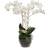 Mr Plant Phalaenopsis Kunstig plante