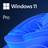 Microsoft Windows 11 Pro 64-Bit Multilingual (ESD)