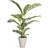 Evergreen Palm Kunstig plante