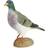 Wildlife Garden DecoBird Stock Dove Dekorationsfigur 25.4cm