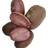 Bygxtra Lily Rose Læggekartofler 1,5 Kg.
