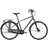 Trek District 2 Equipped With Shimano Nexus 7v Lithium City Bike 2022 -Gray