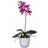 Mica Decorations Phalaenopsis im Künstliche Pflanzen
