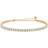 Studio Z Tennis Bracelet - Gold/Transparent