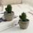Shein Potted Cactus Kunstig plante