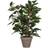 Mica Decorations 930307 Ficus Natasja Stan Pot, Polyester, Green, 30 x 30 x 40 cm Kunstig plante