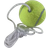 Amo Pole Tennis Ball