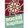 Ledelse med social kapital (E-bog, 2010)