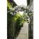 Nature Garden Arch 38x229cm