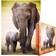Eurographics Elephant & Baby 1000 Pieces
