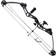 vidaXL Compound bow with accessories