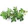 Click and Grow Smart Garden Thyme Refill 3 pack