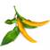 Click and Grow Smart Garden Yellow Chili Pepper Refill 3 pack