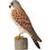 Wild Life Garden Deco Bird Tornfalk Dekorationsfigur