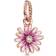 Pandora Daisy Flower Dangle Charm - Rose Gold/Pink/Transparent