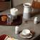 Royal Doulton Coffee Studio Sugar/Milk Set Køkkenudstyr 2stk