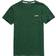 Superdry Organic Cotton Vintage Embroidery T-shirt - Willow Green Grit