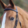 Shires Aviemore Mexican Bridle