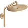 Hansgrohe Croma Select S (26890140) Bronze