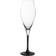 Villeroy & Boch Manufacture Rock Champagneglas 25.5cl 4stk