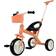 Stoy Tricycle Peach