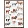 Koustrup & Co. Cattle Breeds Plakat 42x59.4cm