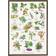 Koustrup & Co. Edible Wild Fruits Plakat 42x59.4cm