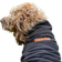 Siccaro Recovery-Heat-Reflecting Dog Coat M
