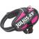 Julius-K9 Dark Pink Dog Harness XXS