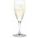 Holmegaard Perfection Champagneglas 23cl 6stk