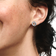 Pandora Family Always Encircled Stud Earrings - Silver/Transparent