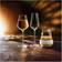 Chef & Sommelier - Champagne Glass 21cl 6pcs