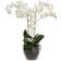 Mr Plant Phalaenopsis Kunstig plante