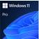 Microsoft Windows 11 Pro 64-bit FPP ENGLISH