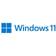 Microsoft Windows 11 Home FPP 64-bit