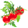 Click and Grow Smart Garden Mini Tomato Refill 3-pack