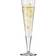 Ritzenhoff Goldnacht Champagneglas 20.5cl