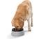 Hunter Water Bowl Road Refresher 1.4L